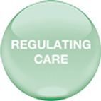 Dr Schrammek Regulating Care Logo